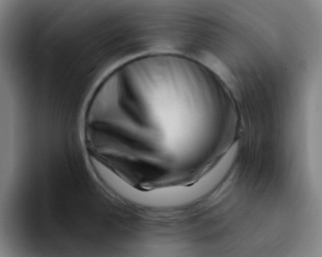 X0000094201342200711161800