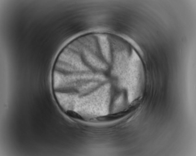 X0000094201343200711161800