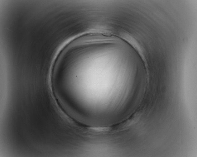 X0000094201344200711161801