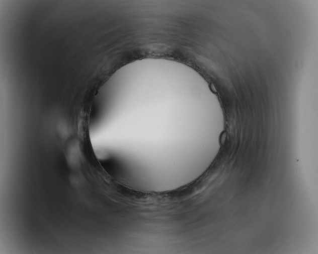 X0000094201346200711161800