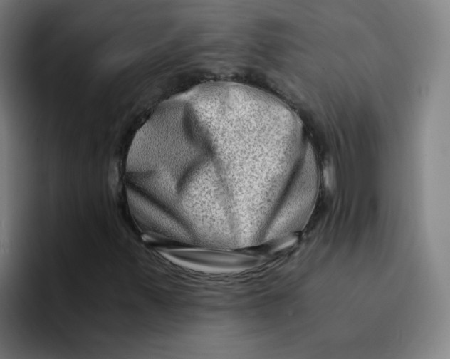 X0000094201347200711161800