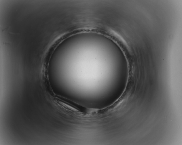 X0000094201352200711161800