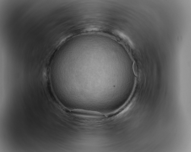 X0000094201353200711161800