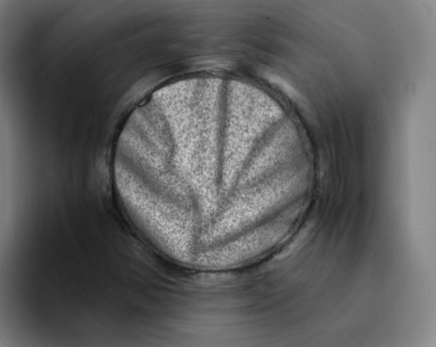 X0000094201354200711161800