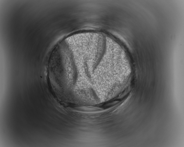 X0000094201355200711161800