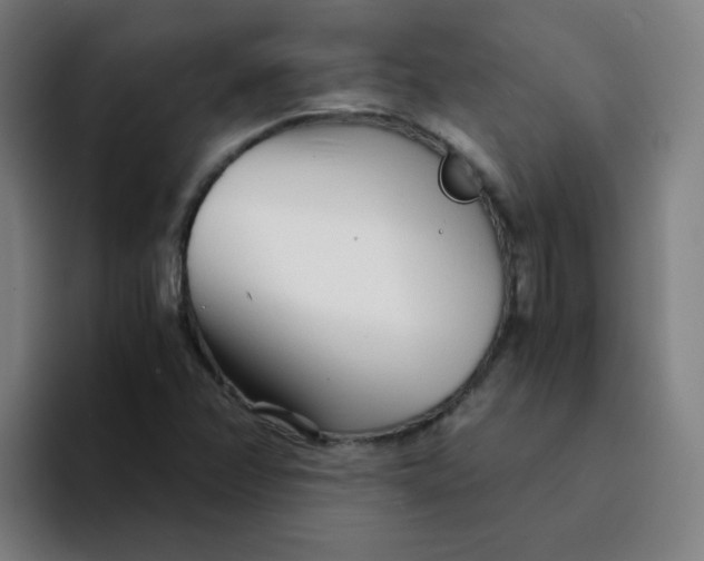 X0000094201358200711161800