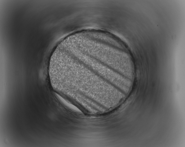 X0000094201359200711161800