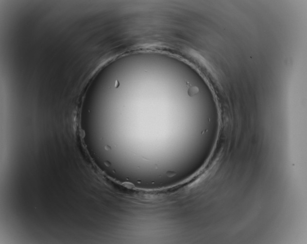 X0000094201361200711161800