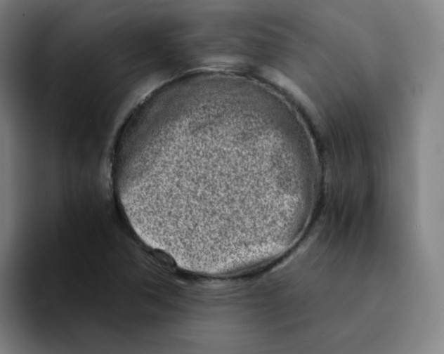 X0000094201362200711161800