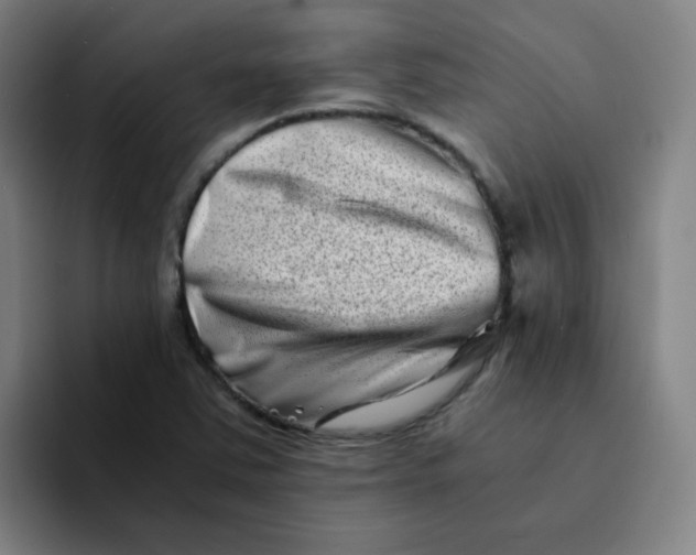 X0000094201363200711161800