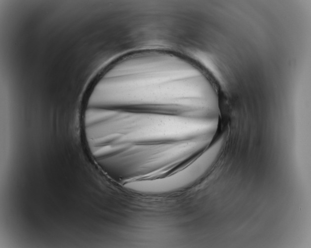 X0000094201364200711161800