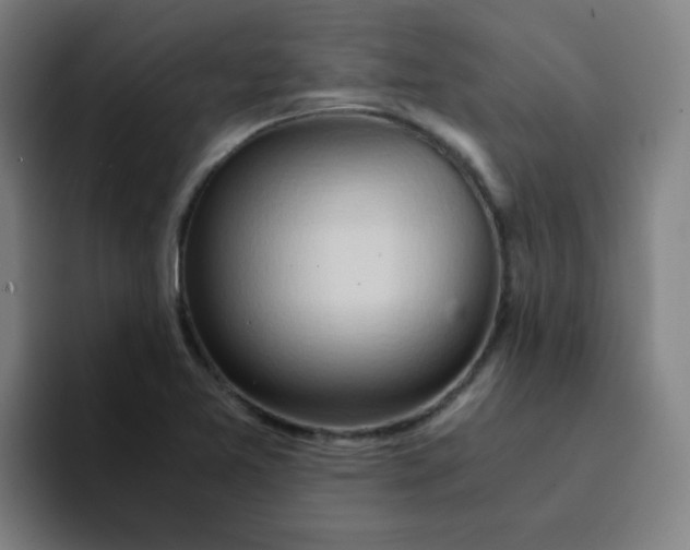 X0000094201365200711161800