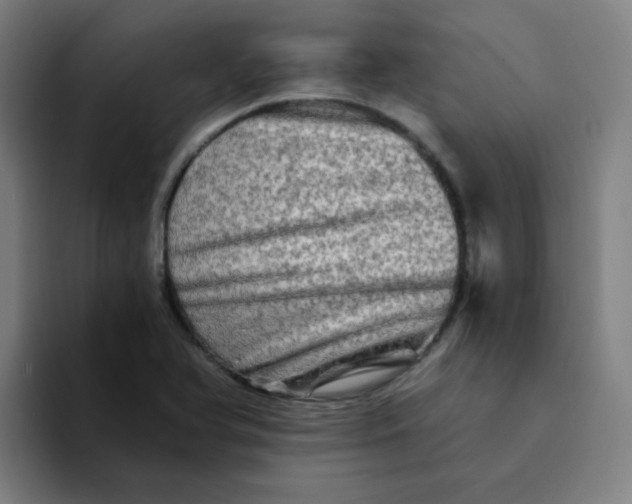 X0000094201366200711161800