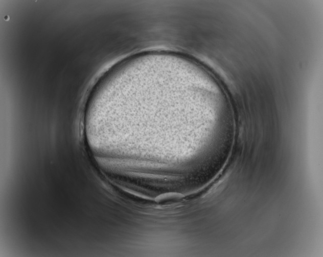 X0000094201367200711161800