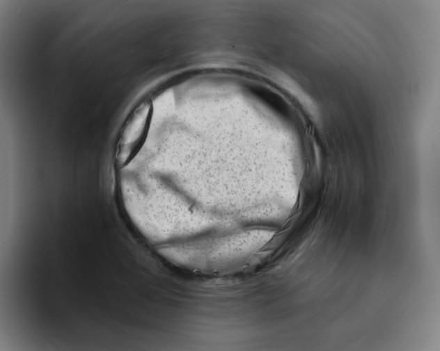 X0000094201368200711161800