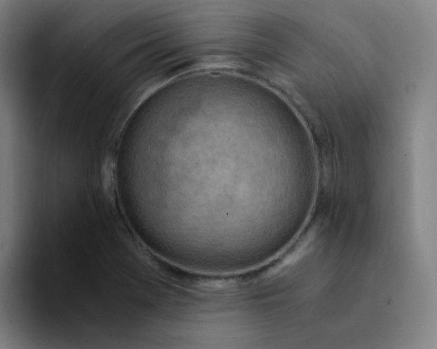 X0000094201369200711161800