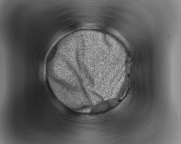 X0000094201370200711161800