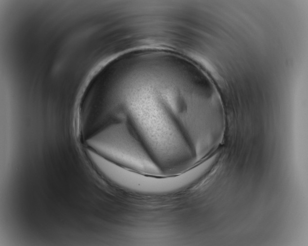 X0000094201371200711161800