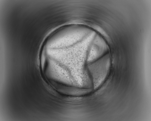 X0000094201372200711161800