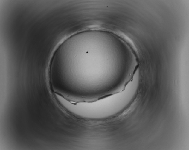 X0000094201373200711161800