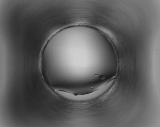 X0000094201374200711161800