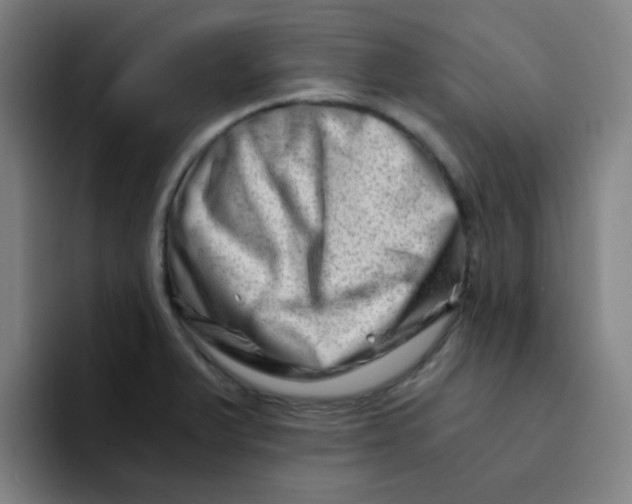 X0000094201375200711161759