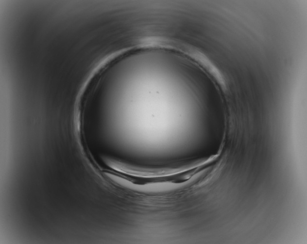 X0000094201376200711161759