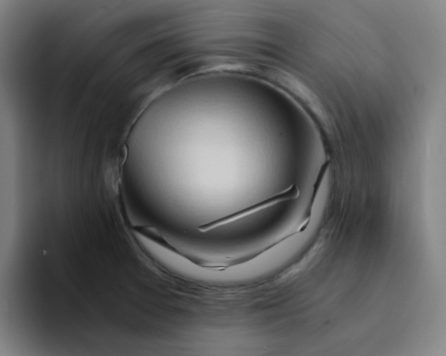 X0000094201377200711161759