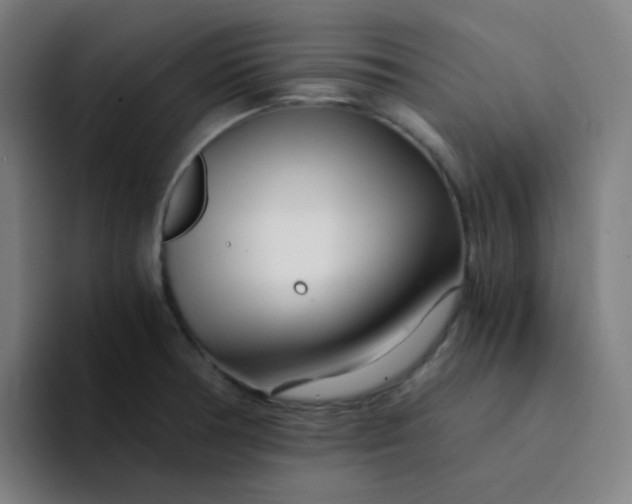 X0000094201378200711161759