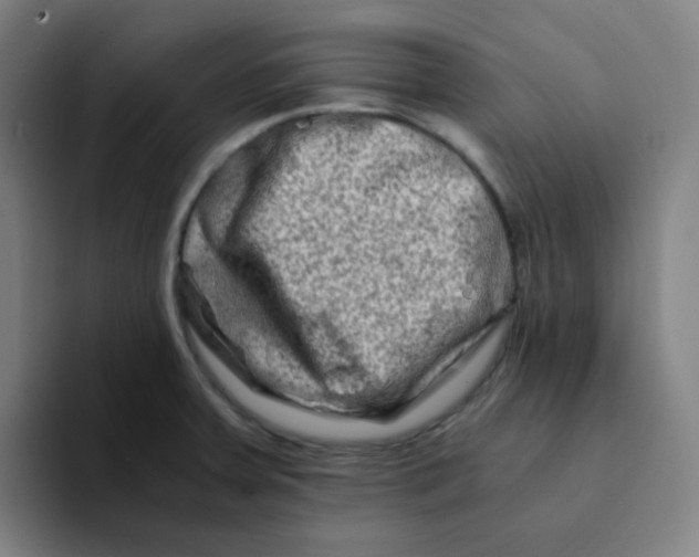 X0000094201379200711161759