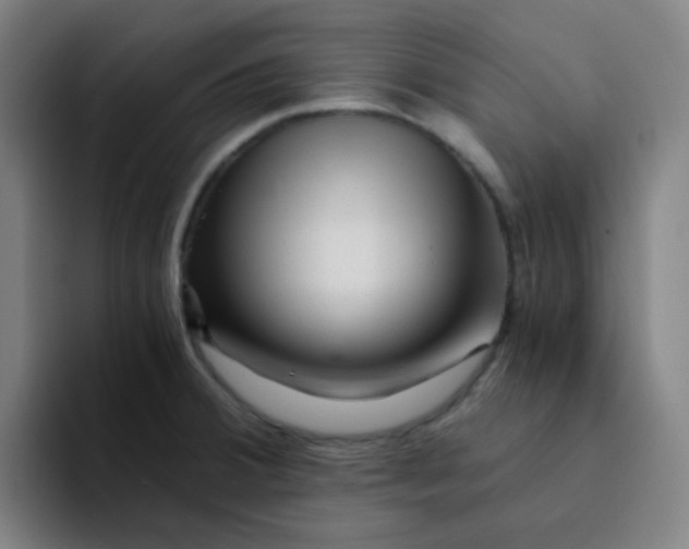 X0000094201380200711161759