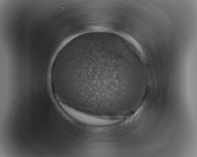 X0000094201381200711161759