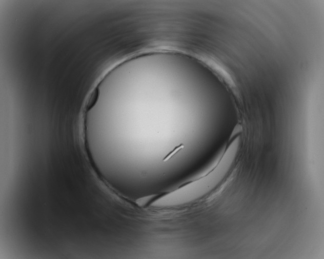 X0000094201382200711161759