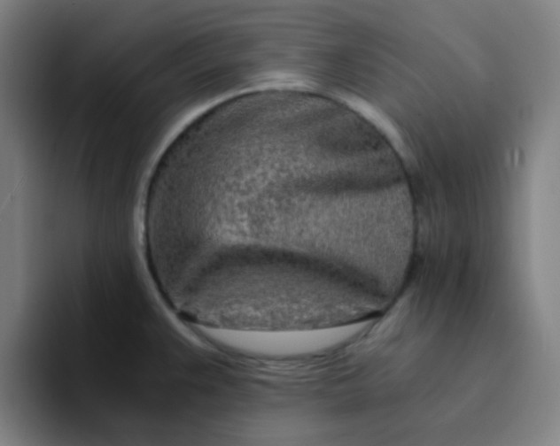 X0000094201383200711161759