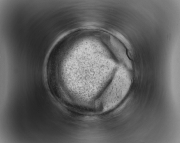 X0000094201384200711161759