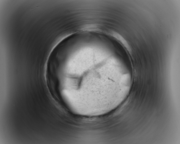 X0000094201386200711161759