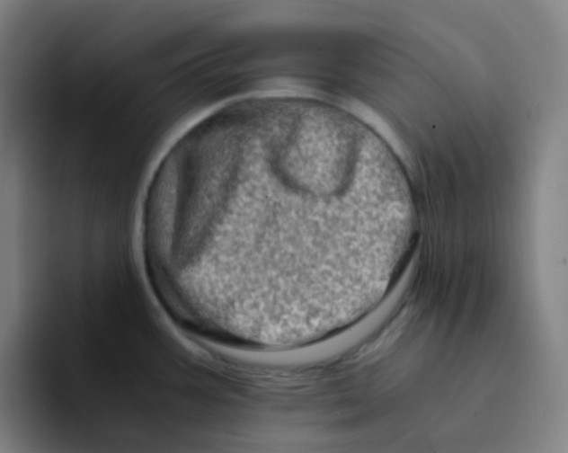 X0000094201387200711161759