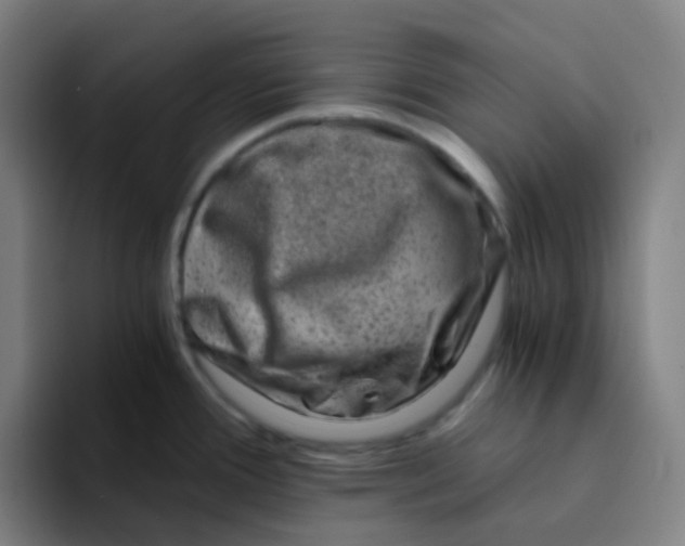 X0000094201388200711161759