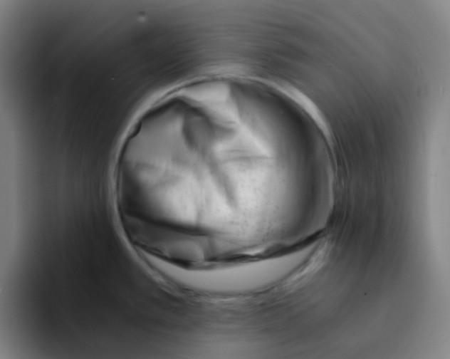 X0000094201389200711161759