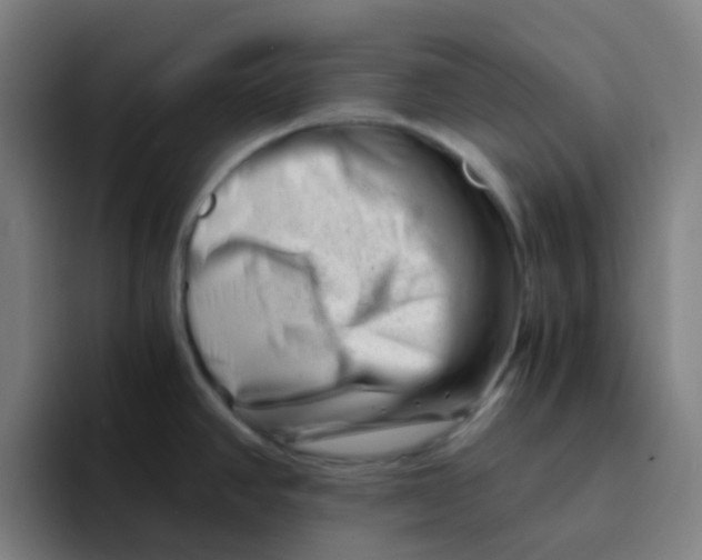 X0000094201390200711161759