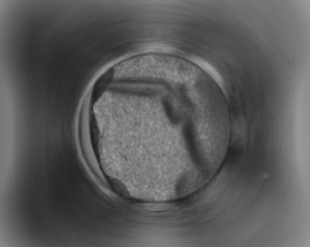 X0000094201391200711161759