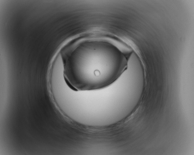 X0000094201392200711161759