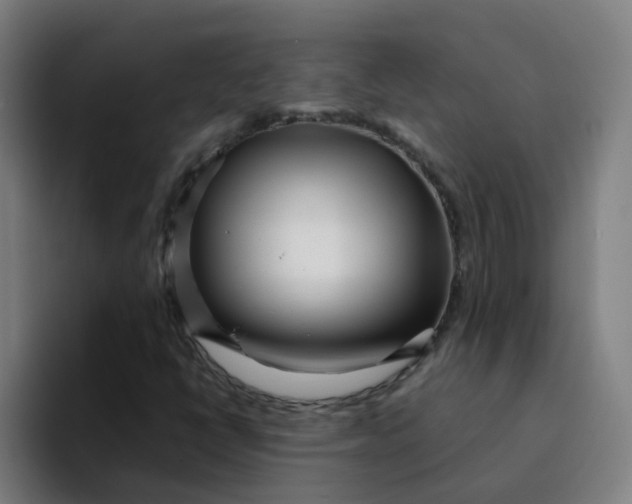 X0000094201398200711161759