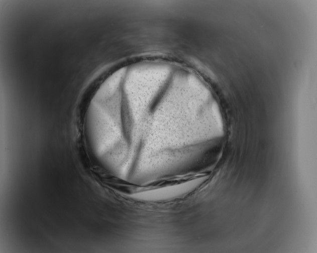 X0000094201400200711161759