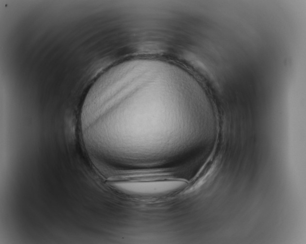 X0000094201401200711161759