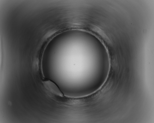 X0000094201402200711161759