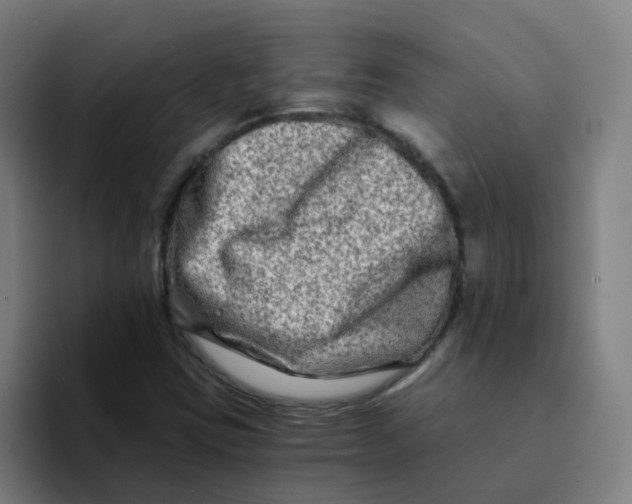 X0000094201403200711161759