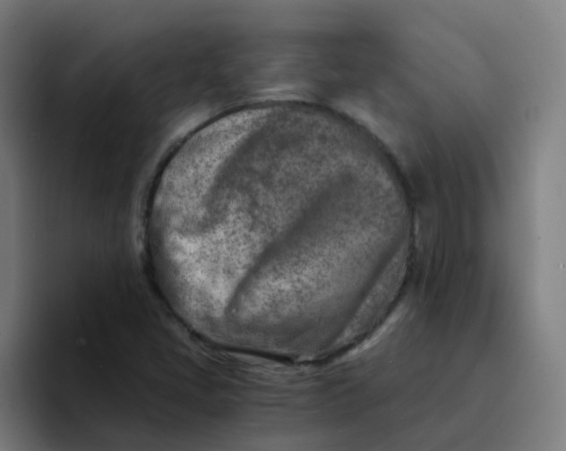 X0000094201405200711161759