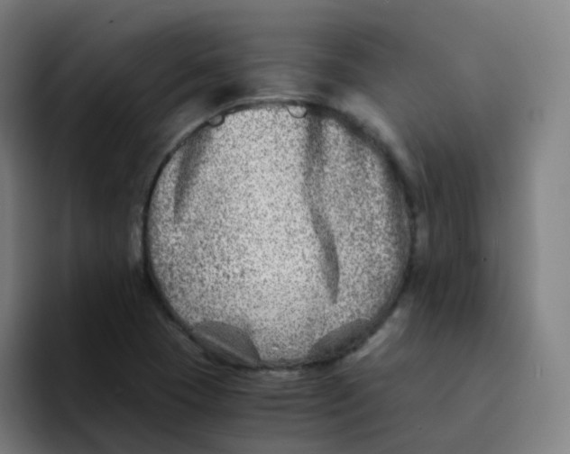 X0000094201409200711161759