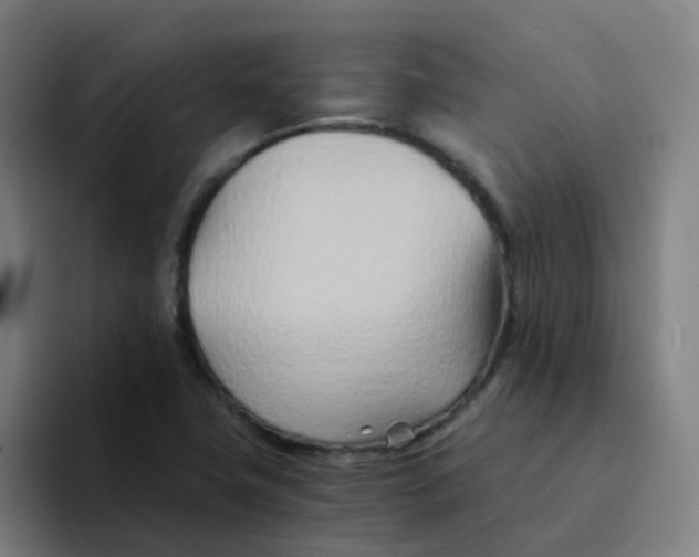 X0000094201411200711161759